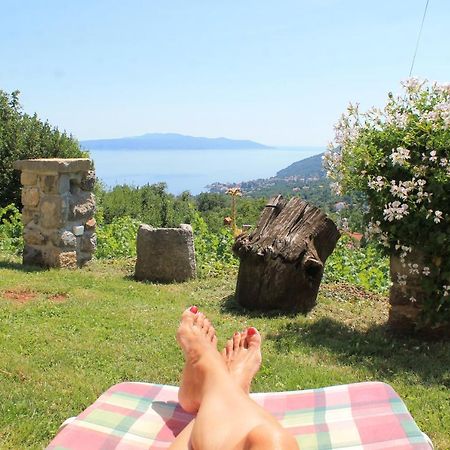 Sea View Apartment With Garden Near Opatija Veprinac Kültér fotó